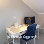 Rent 2 bedroom apartment of 33 m² in Turin