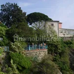 Rent 2 bedroom apartment of 60 m² in Genoa