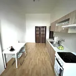 Rent 1 bedroom apartment in Prague