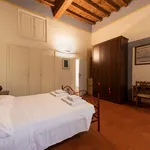 Rent 1 bedroom apartment in Florence