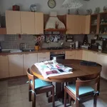 Rent 3 bedroom apartment of 14 m² in padova