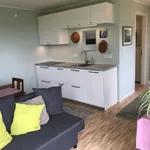 Rent 1 bedroom apartment of 39 m² in Frankfurt