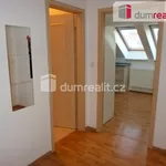 Rent 1 bedroom apartment in České Budějovice