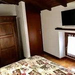 Rent 4 bedroom apartment of 40 m² in Verona