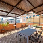 Rent 1 bedroom apartment in Rome