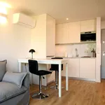 Rent 1 bedroom apartment in porto