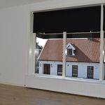 Rent 2 bedroom apartment of 52 m² in Zenderen