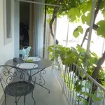 Rent 3 bedroom apartment of 80 m² in Basel