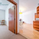 Rent 2 bedroom apartment in Praha 2