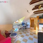 Rent 2 bedroom apartment of 50 m² in Trhový Štěpánov