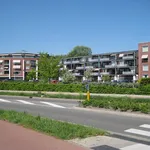 Rent 3 bedroom apartment of 90 m² in Soest