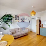 Rent 2 bedroom apartment of 45 m² in Milano