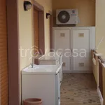 Rent 2 bedroom apartment of 50 m² in Belvedere Marittimo