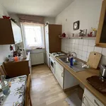 Rent 2 bedroom apartment of 57 m² in Salzgitter