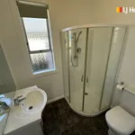 Rent 3 bedroom apartment in Mosgiel