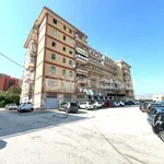 Affitto 2 camera appartamento di 87 m² in Manfredonia