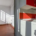 Rent a room of 160 m² in madrid