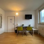 Rent 2 bedroom apartment of 50 m² in Karlsruhe