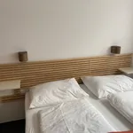 Miete 1 Schlafzimmer wohnung von 25 m² in Vienna