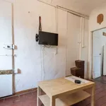 Rent 1 bedroom apartment of 35 m² in florence