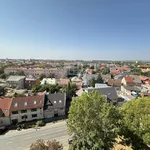 Rent 1 bedroom apartment of 45 m² in Székesfehérvár