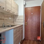 Rent 1 bedroom apartment of 27 m² in Litvínov