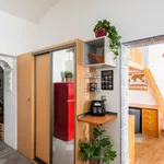 Rent 1 bedroom apartment of 45 m² in Prague