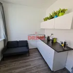 Rent 1 bedroom apartment in Mladá Boleslav