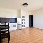 Rent 1 bedroom apartment of 32 m² in Brno