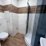 Rent 1 bedroom apartment of 33 m² in Český Těšín