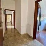 Rent 4 bedroom apartment of 72 m² in Bologna