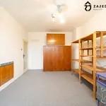 Rent 2 bedroom apartment in Brno