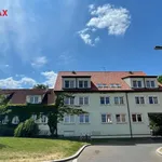 Rent 2 bedroom apartment of 48 m² in chabry