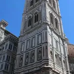 Rent 1 bedroom apartment of 35 m² in Florence