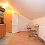 Rent 1 bedroom apartment of 26 m² in Timisoara