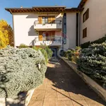 Rent 3 bedroom apartment of 120 m² in Correzzana