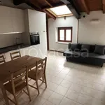 Rent 1 bedroom apartment of 40 m² in Bergamo