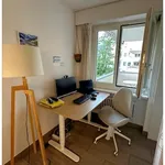 Rent 2 bedroom apartment in Zurich