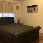 Rent 3 bedroom house in Carnegie