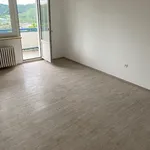 Miete 3 Schlafzimmer wohnung von 66 m² in Siegen