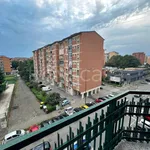 Rent 2 bedroom apartment of 55 m² in Torino