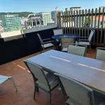 Rent 1 bedroom apartment in Wellington