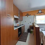 Rent 3 bedroom apartment of 60 m² in Fiumicino