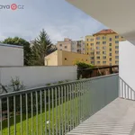 Rent 1 bedroom apartment of 43 m² in Brno