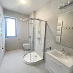 Rent 4 bedroom apartment of 117 m² in Budapest