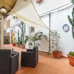 Rent 2 bedroom apartment of 50 m² in Naples