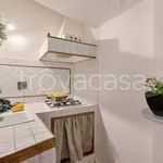 Rent 4 bedroom apartment of 80 m² in Firenze