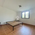 Rent 1 bedroom house of 151 m² in Messina