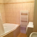 Rent 1 bedroom apartment in Praha - západ