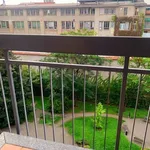 Rent 1 bedroom apartment of 32 m² in Milano